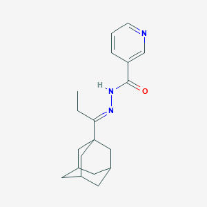 molecular formula C19H25N3O B454369 N'-[1-(1-adamantyl)propylidene]nicotinohydrazide 