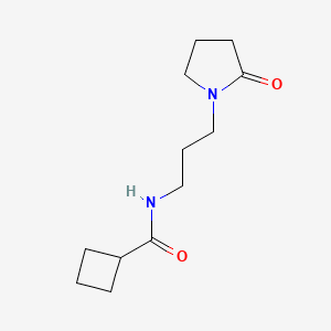 molecular formula C12H20N2O2 B4543779 N-[3-(2-oxo-1-pyrrolidinyl)propyl]cyclobutanecarboxamide 