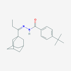 molecular formula C24H34N2O B454390 N'-[1-(1-adamantyl)propylidene]-4-tert-butylbenzohydrazide 