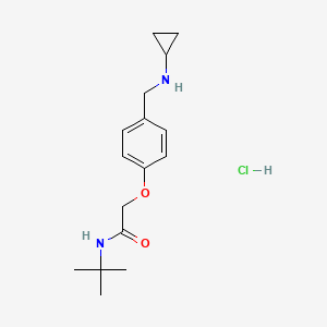 N-tert-butyl-2-[4-[(cyclopropylamino)methyl]phenoxy]acetamide;hydrochloride