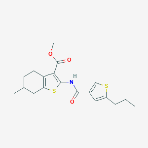 molecular formula C19H23NO3S2 B454905 Methyl 6-methyl-2-{[(5-propyl-3-thienyl)carbonyl]amino}-4,5,6,7-tetrahydro-1-benzothiophene-3-carboxylate 