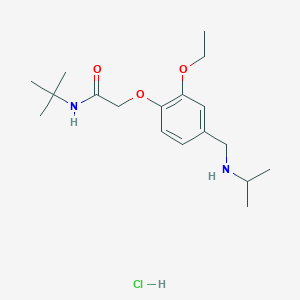 N-(tert-butyl)-2-{2-ethoxy-4-[(isopropylamino)methyl]phenoxy}acetamide hydrochloride