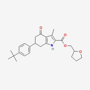 molecular formula C25H31NO4 B4549669 tetrahydrofuran-2-ylmethyl 6-(4-tert-butylphenyl)-3-methyl-4-oxo-4,5,6,7-tetrahydro-1H-indole-2-carboxylate 