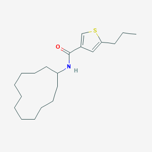 N-cyclododecyl-5-propylthiophene-3-carboxamide