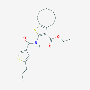 molecular formula C21H27NO3S2 B455069 Ethyl 2-{[(5-propyl-3-thienyl)carbonyl]amino}-4,5,6,7,8,9-hexahydrocycloocta[b]thiophene-3-carboxylate 