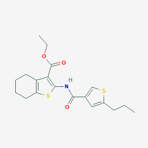 molecular formula C19H23NO3S2 B455133 Ethyl 2-{[(5-propyl-3-thienyl)carbonyl]amino}-4,5,6,7-tetrahydro-1-benzothiophene-3-carboxylate 
