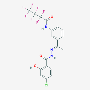 molecular formula C19H13ClF7N3O3 B4552586 N-{3-[N-(4-chloro-2-hydroxybenzoyl)ethanehydrazonoyl]phenyl}-2,2,3,3,4,4,4-heptafluorobutanamide 