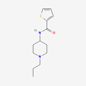 molecular formula C13H20N2OS B4553530 N-(1-propyl-4-piperidinyl)-2-thiophenecarboxamide 