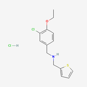 molecular formula C14H17Cl2NOS B4553609 (3-chloro-4-ethoxybenzyl)(2-thienylmethyl)amine hydrochloride 