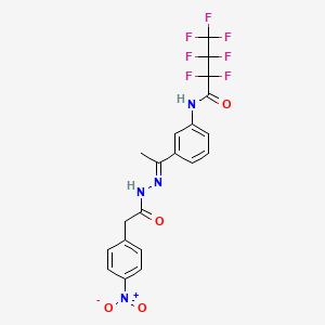 molecular formula C20H15F7N4O4 B4553900 2,2,3,3,4,4,4-heptafluoro-N-(3-{N-[(4-nitrophenyl)acetyl]ethanehydrazonoyl}phenyl)butanamide 