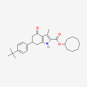 molecular formula C28H37NO3 B4556638 cyclooctyl 6-(4-tert-butylphenyl)-3-methyl-4-oxo-4,5,6,7-tetrahydro-1H-indole-2-carboxylate 