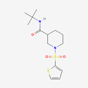 N-TERT-BUTYL-1-(THIOPHENE-2-SULFONYL)PIPERIDINE-3-CARBOXAMIDE