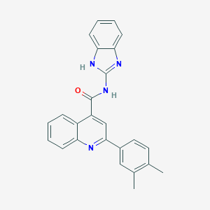 molecular formula C25H20N4O B455909 N-(1H-benzimidazol-2-yl)-2-(3,4-dimethylphenyl)quinoline-4-carboxamide 