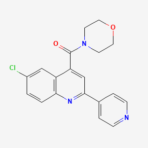 6-CHLORO-4-(MORPHOLINE-4-CARBONYL)-2-(PYRIDIN-4-YL)QUINOLINE