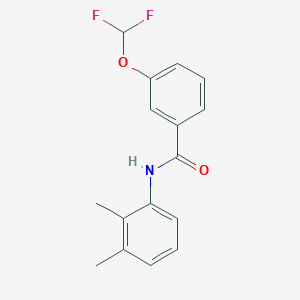 3-(difluoromethoxy)-N-(2,3-dimethylphenyl)benzamide