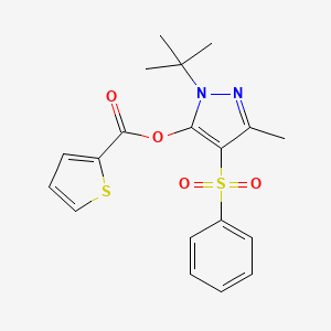 1-tert-butyl-3-methyl-4-(phenylsulfonyl)-1H-pyrazol-5-yl 2-thiophenecarboxylate