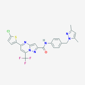 molecular formula C24H18ClF3N6OS B456436 5-(5-chloro-2-thienyl)-N-{4-[(3,5-dimethyl-1H-pyrazol-1-yl)methyl]phenyl}-7-(trifluoromethyl)pyrazolo[1,5-a]pyrimidine-2-carboxamide 