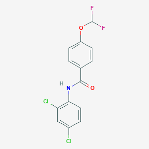 molecular formula C14H9Cl2F2NO2 B456459 N-(2,4-dichlorophenyl)-4-(difluoromethoxy)benzamide 