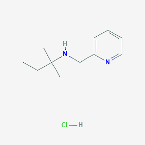 (1,1-dimethylpropyl)(2-pyridinylmethyl)amine hydrochloride