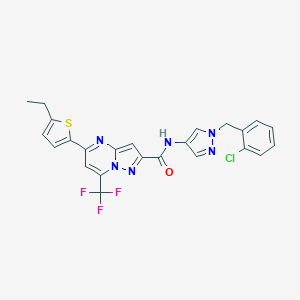 molecular formula C24H18ClF3N6OS B456569 N-[1-(2-chlorobenzyl)-1H-pyrazol-4-yl]-5-(5-ethylthiophen-2-yl)-7-(trifluoromethyl)pyrazolo[1,5-a]pyrimidine-2-carboxamide 