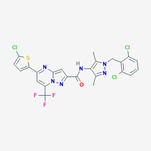 molecular formula C24H16Cl3F3N6OS B456629 5-(5-chloro-2-thienyl)-N-[1-(2,6-dichlorobenzyl)-3,5-dimethyl-1H-pyrazol-4-yl]-7-(trifluoromethyl)pyrazolo[1,5-a]pyrimidine-2-carboxamide 