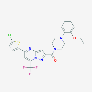 molecular formula C24H21ClF3N5O2S B456731 5-(5-Chloro-2-thienyl)-2-{[4-(2-ethoxyphenyl)-1-piperazinyl]carbonyl}-7-(trifluoromethyl)pyrazolo[1,5-a]pyrimidine 