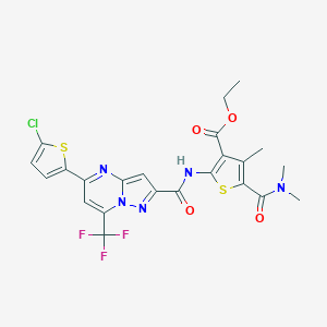 molecular formula C23H19ClF3N5O4S2 B456883 Ethyl 2-({[5-(5-chloro-2-thienyl)-7-(trifluoromethyl)pyrazolo[1,5-a]pyrimidin-2-yl]carbonyl}amino)-5-[(dimethylamino)carbonyl]-4-methyl-3-thiophenecarboxylate 