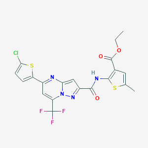 molecular formula C20H14ClF3N4O3S2 B456962 Ethyl 2-({[5-(5-chloro-2-thienyl)-7-(trifluoromethyl)pyrazolo[1,5-a]pyrimidin-2-yl]carbonyl}amino)-5-methyl-3-thiophenecarboxylate 