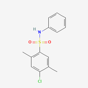 4-chloro-2,5-dimethyl-N-phenylbenzenesulfonamide