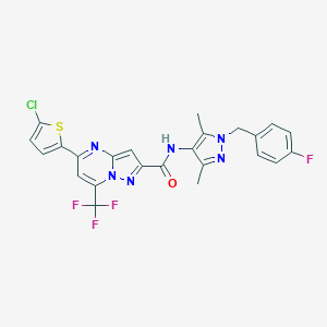 molecular formula C24H17ClF4N6OS B456970 5-(5-chloro-2-thienyl)-N-[1-(4-fluorobenzyl)-3,5-dimethyl-1H-pyrazol-4-yl]-7-(trifluoromethyl)pyrazolo[1,5-a]pyrimidine-2-carboxamide 