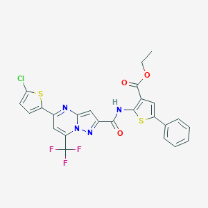 molecular formula C25H16ClF3N4O3S2 B457047 Ethyl 2-({[5-(5-chloro-2-thienyl)-7-(trifluoromethyl)pyrazolo[1,5-a]pyrimidin-2-yl]carbonyl}amino)-5-phenyl-3-thiophenecarboxylate 