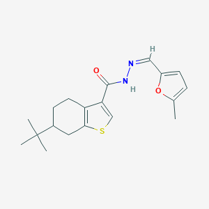 molecular formula C19H24N2O2S B457073 6-tert-butyl-N'-[(5-methyl-2-furyl)methylene]-4,5,6,7-tetrahydro-1-benzothiophene-3-carbohydrazide 
