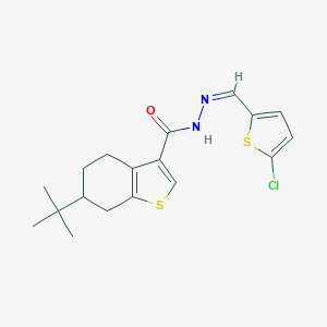molecular formula C18H21ClN2OS2 B457081 6-tert-butyl-N'-[(5-chloro-2-thienyl)methylene]-4,5,6,7-tetrahydro-1-benzothiophene-3-carbohydrazide 