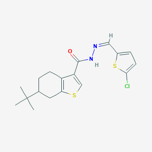 6-tert-butyl-N'-[(5-chloro-2-thienyl)methylene]-4,5,6,7-tetrahydro-1-benzothiophene-3-carbohydrazide