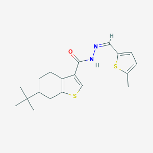 molecular formula C19H24N2OS2 B457086 6-tert-butyl-N'-[(5-methyl-2-thienyl)methylene]-4,5,6,7-tetrahydro-1-benzothiophene-3-carbohydrazide 