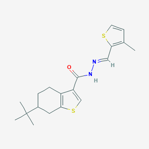 molecular formula C19H24N2OS2 B457111 6-tert-butyl-N'-[(3-methyl-2-thienyl)methylene]-4,5,6,7-tetrahydro-1-benzothiophene-3-carbohydrazide 