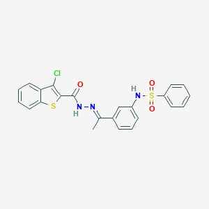 molecular formula C23H18ClN3O3S2 B457116 N-(3-{N-[(3-chloro-1-benzothien-2-yl)carbonyl]ethanehydrazonoyl}phenyl)benzenesulfonamide 
