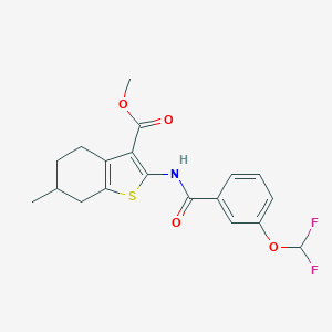 molecular formula C19H19F2NO4S B457129 Methyl 2-({[3-(difluoromethoxy)phenyl]carbonyl}amino)-6-methyl-4,5,6,7-tetrahydro-1-benzothiophene-3-carboxylate 