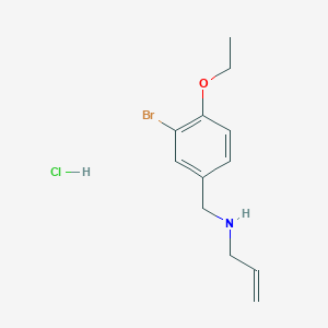 molecular formula C12H17BrClNO B4571747 盐酸N-(3-溴-4-乙氧基苄基)丙-2-烯-1-胺 