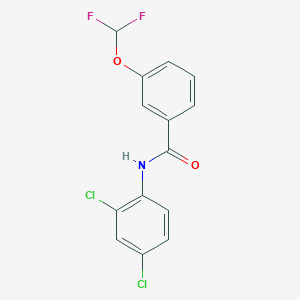 molecular formula C14H9Cl2F2NO2 B457175 N-(2,4-dichlorophenyl)-3-(difluoromethoxy)benzamide 