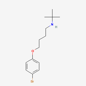 molecular formula C14H22BrNO B4572648 4-(4-溴苯氧基)-N-(叔丁基)-1-丁胺 