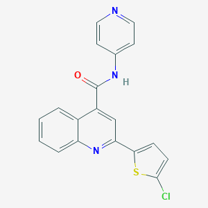 molecular formula C19H12ClN3OS B457379 2-(5-chloro-2-thienyl)-N-(4-pyridinyl)-4-quinolinecarboxamide 