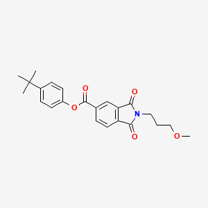 4-tert-butylphenyl 2-(3-methoxypropyl)-1,3-dioxo-5-isoindolinecarboxylate