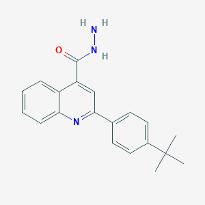 molecular formula C20H21N3O B457731 2-(4-叔丁基苯基)喹啉-4-甲酰肼 CAS No. 524933-35-5