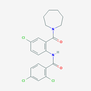 molecular formula C20H19Cl3N2O2 B4578646 N-[2-(1-azepanylcarbonyl)-4-chlorophenyl]-2,4-dichlorobenzamide 