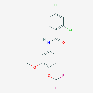 molecular formula C15H11Cl2F2NO3 B4580432 2,4-dichloro-N-[4-(difluoromethoxy)-3-methoxyphenyl]benzamide CAS No. 828298-12-0