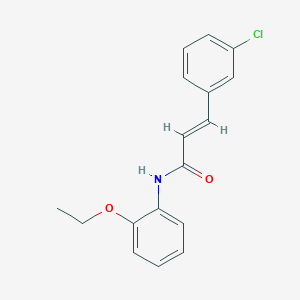 molecular formula C17H16ClNO2 B458132 3-(3-chlorophenyl)-N-(2-ethoxyphenyl)acrylamide 