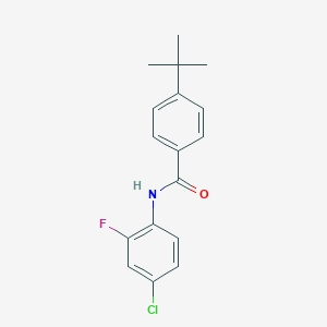 4-tert-butyl-N-(4-chloro-2-fluorophenyl)benzamide