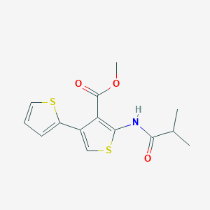 molecular formula C14H15NO3S2 B458392 Methyl 2-(isobutyrylamino)-2',4-bithiophene-3-carboxylate 