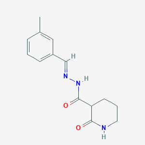 molecular formula C14H17N3O2 B458485 N'-(3-methylbenzylidene)-2-oxo-3-piperidinecarbohydrazide 